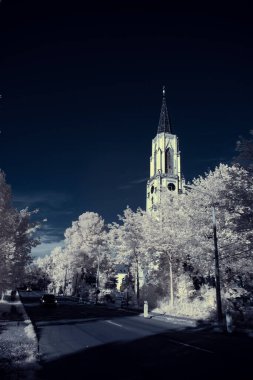 Gökyüzünün altındaki karlı ağaçlarla dolu bir manzara.