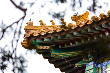 Çin Sarayı Müzesi 'nin çatısının alçak açılı görüntüsü. Arka planda ağaç dalları ve gökyüzü var.