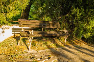 Sırbistan 'ın Petrovaradin kentindeki Bakire Meryem Kilisesi' nin bahçesindeki ahşap bir bankın manzarası