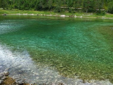 Arkasında yemyeşil ağaçlar olan berrak bir turkuaz göl.