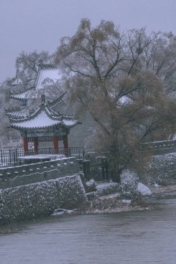 Karla kaplı bir parktaki göl kenarında güzel bir pavyon manzarası.