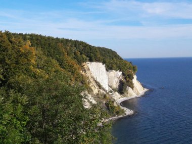 Almanya 'daki Rugen Adası' ndaki bir denizin yanındaki dağdaki yeşil ormanın havadan çekilmiş görüntüsü.