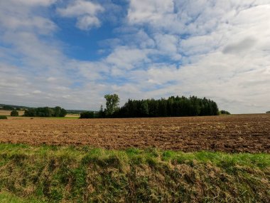 Vadideki bitkiler ve ekinler mavi bulutlu bir arka planda