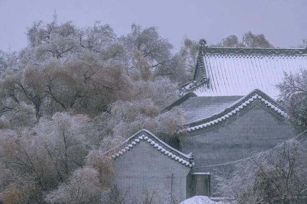 정원에 건물들이 눈덮인 나무들의 아름다운 — 스톡 사진