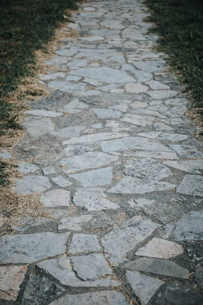 Colpo Verticale Marciapiede Pietra Cortile — Foto Stock