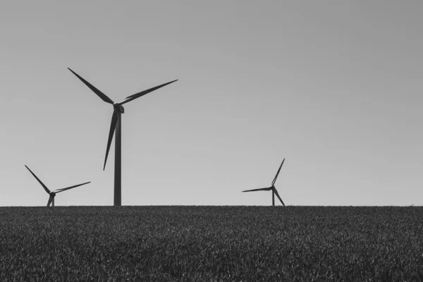 Una Toma Escala Grises Tres Molinos Viento Campo — Foto de Stock