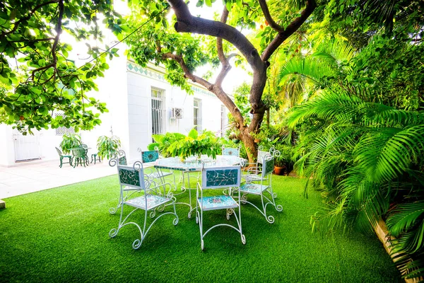 緑豊かな中庭のインテリアとサルテリーニスタイルのテーブルと椅子 — ストック写真