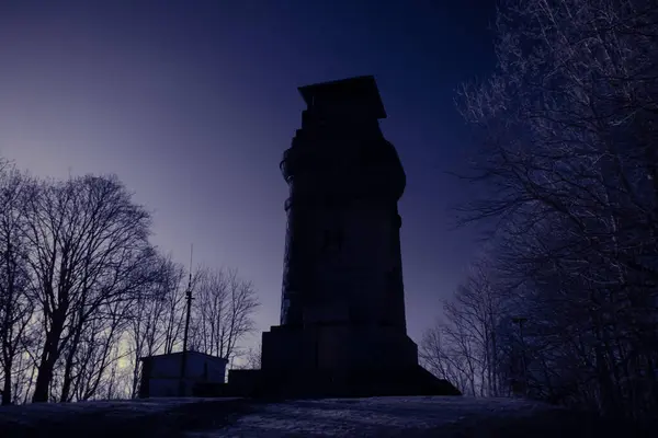 Uma Vista Panorâmica Das Árvores Uma Torre Relógio Metálico Campo — Fotografia de Stock