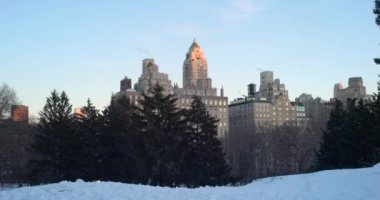 Karlı bir Central Park 'tan görünen sisli, kasvetli bir New York şehri.