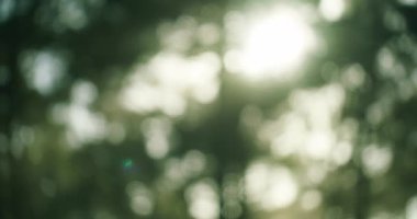 Doğadaki yeşil bokeh ışıkları - arka plan için mükemmel