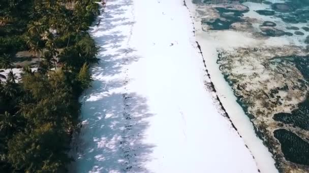 Eine Schöne Luftaufnahme Eines Tropischen Strandes Mit Weißem Sand Und — Stockvideo