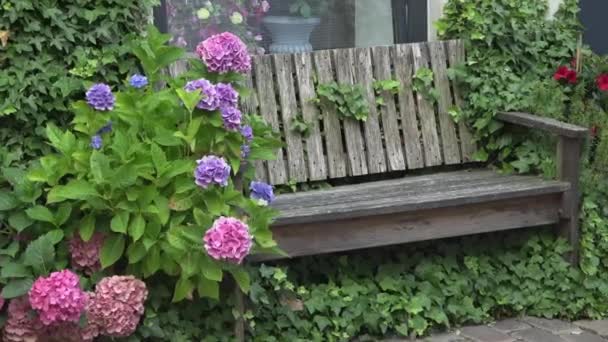 Gartenbank Von Blumen Umrankt Eckerfoerd — Stockvideo