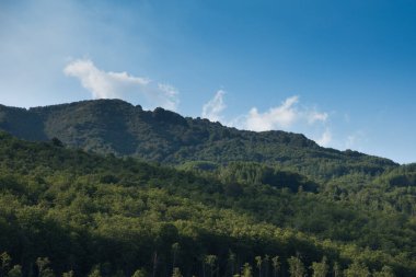 İtalya 'nın Sicily kentindeki Etna Dağı' nı çevreleyen yeşil bitkilerle kaplı güzel kayalar.