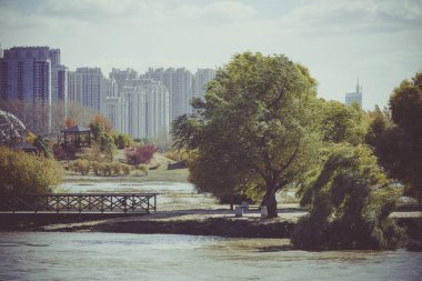 Ağaçların ve arka planda yüksek modern binaların olduğu güzel bir park manzarası.