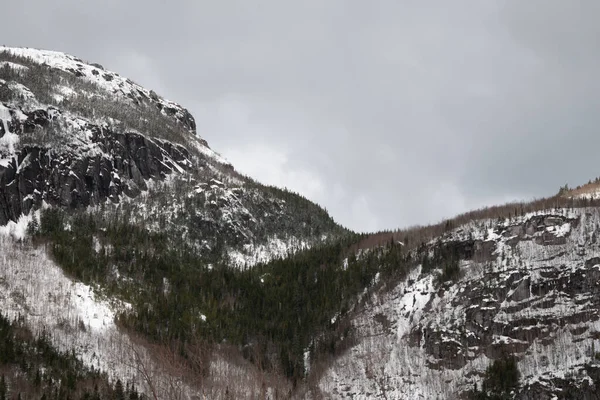 カナダ ケベック州南西部のイレ ペローの冬の緑豊かな森の景色 — ストック写真