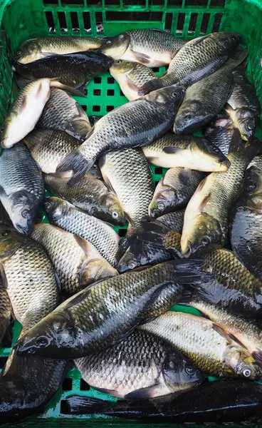 Vertikal Närbild Bunt Fisk Till Salu Den Gröna Korgen — Stockfoto