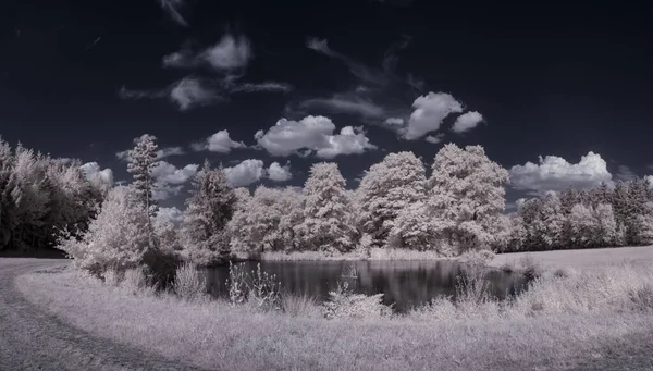 Вид Величезне Засніжене Поле Деревами Невеликий Ставок Під Хмарним Небом — стокове фото