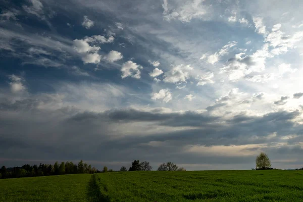 晴れた日には雲が立ち並ぶ畑の夏の風景 — ストック写真