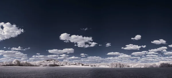 Μια Πανοραμική Θέα Ενός Χιονισμένου Δάσους Χειμώνα Κάτω Από Σκοτεινό — Φωτογραφία Αρχείου