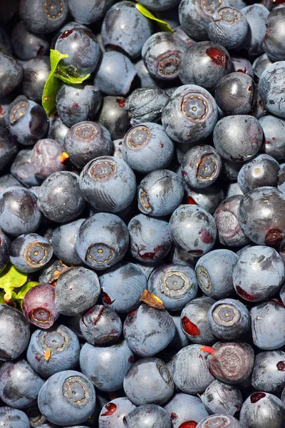 Vertical Top View Fresh Blueberries — Stock Photo, Image