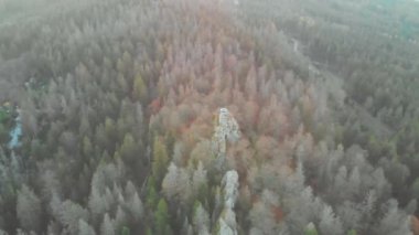 Alman Fichtel Dağları 'ndaki Grober Waldstein üzerinde bir hava aracı görüntüsü.