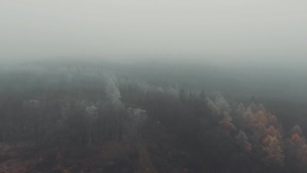 Запись Туманного Утра Воздухе Над Холлентал Германия — стоковое видео