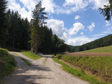 Bereketli yeşil ağaçlar mavi bulutlu arka planda bir patika boyunca