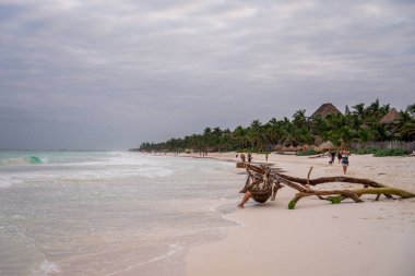 Mavi gökyüzü arka planına karşı kıyıda yürüyen insanların olduğu Tulum plajının manzarası.
