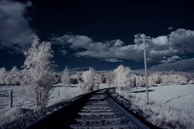 Gökyüzünün altındaki karlı ağaçlarla dolu bir manzara.
