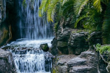 Ormanda güzel bir şelale manzarası