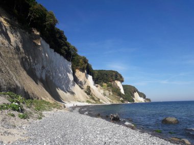 Almanya 'daki Rugen Adası' nda deniz ve dağdaki yeşil bir ormanın yanında güzel bir sahil manzarası.
