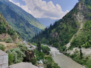 Dağların arasından akan bir nehrin güzel manzarası ve parlak güneş ışığında yeşil yapraklar.