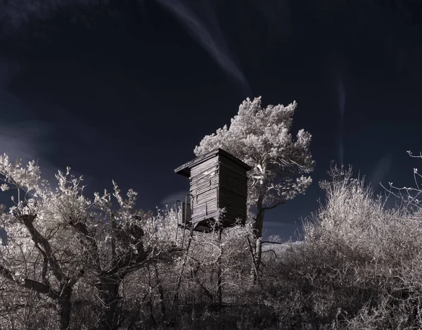 Paisaje Con Árboles Nevados Bajo Cielo Con Nubes — Foto de Stock