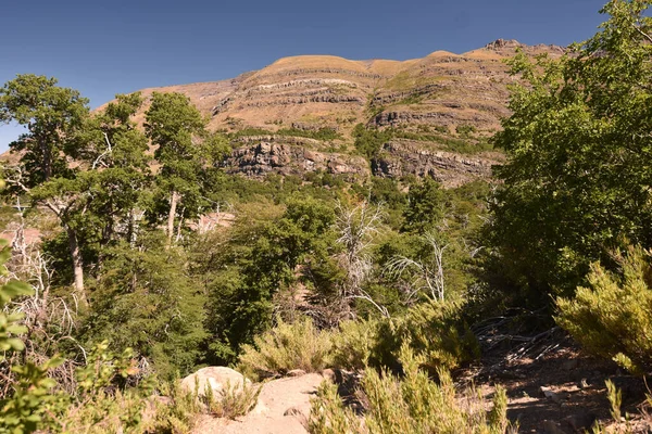 Una Vista Del Área Natural Protegida Epu Lauquen Rodeado Montañas —  Fotos de Stock