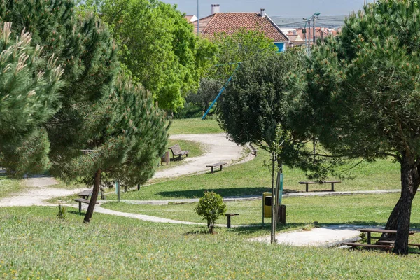 Veduta Panoramica Del Sentiero Mezzo Parco Verde Con Panchine Legno — Foto Stock