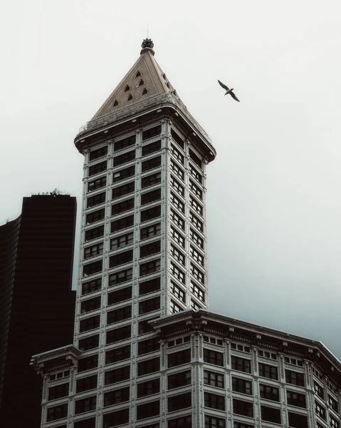 Una Splendida Vista Uccello Che Sorvola Edificio Architettonico — Foto Stock