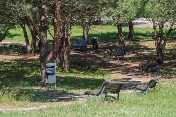 Uma Área Florestal Com Bancos Caminho Que Passa Pelas Árvores — Fotografia de Stock