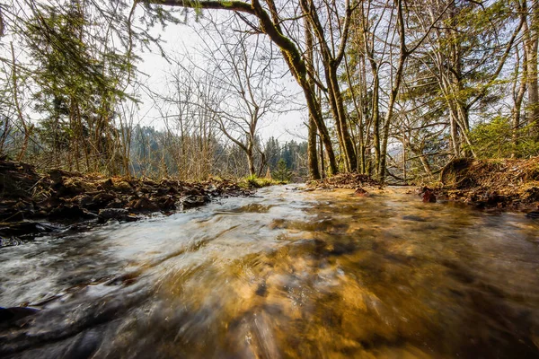 Uma Vista Água Corrente Rio Uma Floresta — Fotografia de Stock