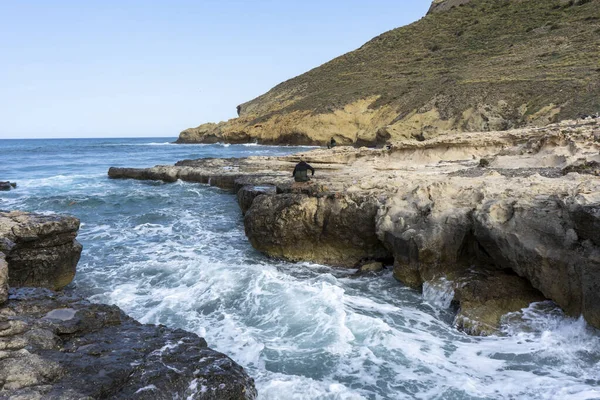 岩場や山間の海岸線を流れる波状の海峡の景色 — ストック写真