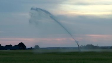 Gün batımında açılacak olan alanın otomatik sulaması