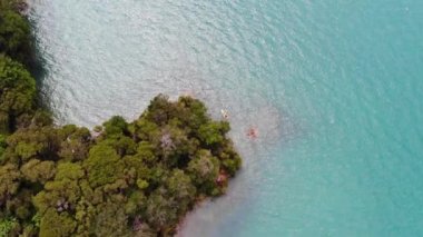 Marlborough Sesleri, Yeni Zelanda 'da bir göl manzarası
