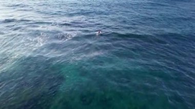 Kanarya Adaları, Fuerteventura Adası, Majanicho 'da sörf yapan insanların insansız hava aracı görüntüleri.
