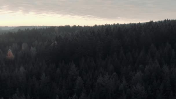 Ett Flygdrönarfoto Den Frankiska Skogen Norra Bayern Tyskland — Stockvideo