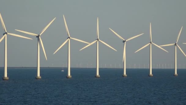 Windpark Middelgrunden Abend Kopenhagen Daenemark Ostsee — Stock video