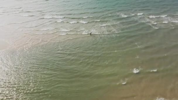 Aerial Drone Footage Sea Surfer Vietnam — Stock Video