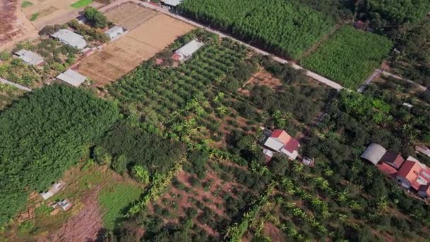 Drone Aéreo Filmado Uma Cidade Campos Vietnã — Vídeo de Stock
