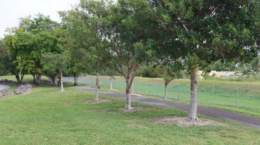 Ağaçlı bir park fotoğrafı.