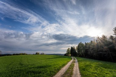 Güneşli bir günde bulutlu bir arazide bir patikanın yaz manzarası.