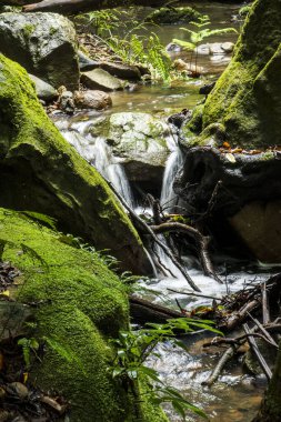 Deredeki kayaların seçici odak noktası pürüzsüz suyla birlikte.