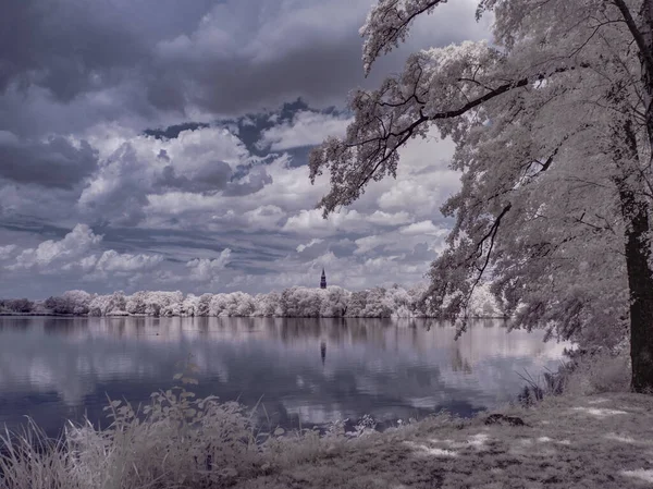 Paysage Avec Des Arbres Enneigés Sous Ciel Avec Des Nuages — Photo